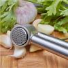 Garlic Press Stainless Steel Kitchen Tool Utensil Cooking Cook Spice Presser NEW