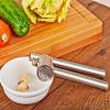 Soufull 304 Stainless Steel Garlic Press With Silicone Tube Roller