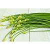 Chinese Chives Oriental Garlic Leek Allium tuberosum 100 seed