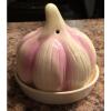 Garlic Roaster Shaped Like Garlic Never Used With Instructions Nice Pink Cream