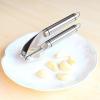 Innoo Tech Garlic Press Stainless Steel - the Garlic Cookbook eBook Included -