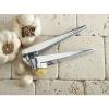 Fante’s Cousin Umberto&#039;s Garlic Press Crusher, 6.25 x 1-Inches