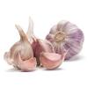 Organic Garlic &#039;&#039;MORADO&#039;&#039; Seeds** 20-Clove**Hardy &amp; Viable Seeds* UK SELLER*