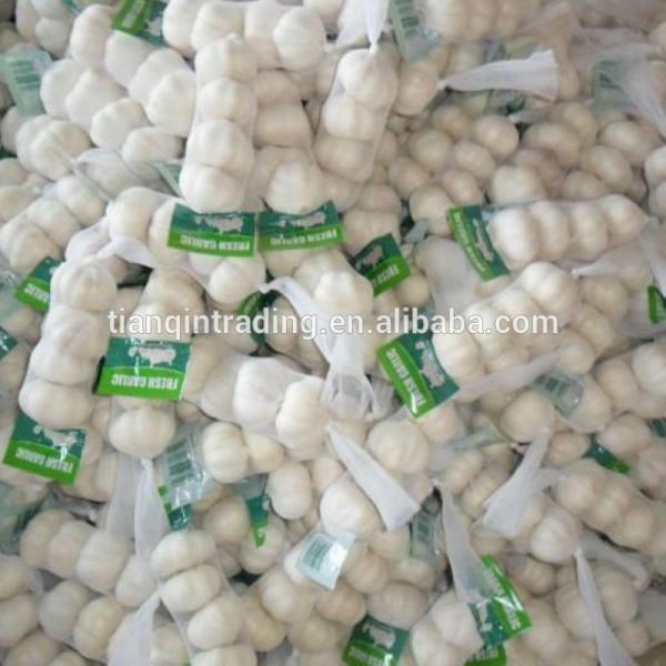 Pure 2017 year china new crop garlic white  garlic    #1 image