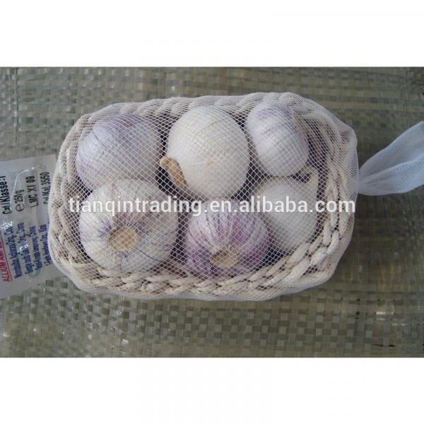 garlic 2017 year china new crop garlic     #1 image