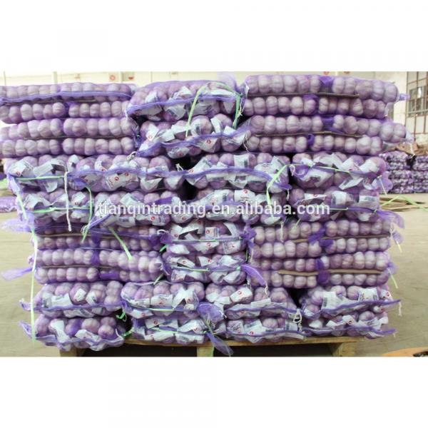 garlic 2017 year china new crop garlic     #2 image