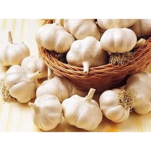 Organic 2017 year china new crop garlic normal  white  fresh  garlic  #4 image