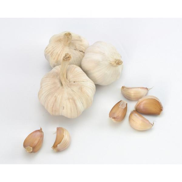 ISO 2017 year china new crop garlic Global  GAP  HACCP  KOSHER  JAS certification fresh garlic #2 image