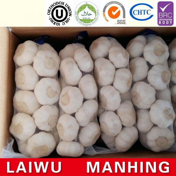 ISO 2017 year china new crop garlic 9001  fresh  chinese  white  garlic #1 image