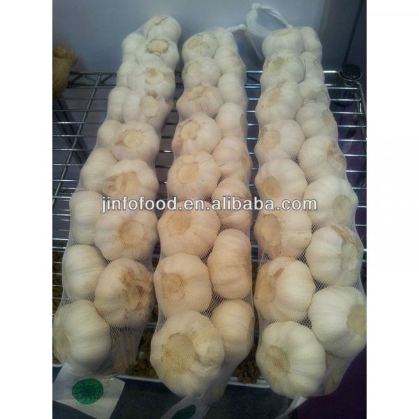 Fresh 2017 year china new crop garlic Garlic     #2 image