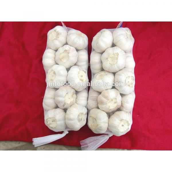 1kg 2017 year china new crop garlic /bag  white  garlic   #1 image