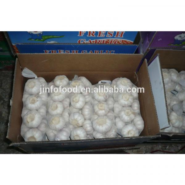 1kg 2017 year china new crop garlic /bag  white  garlic   #4 image