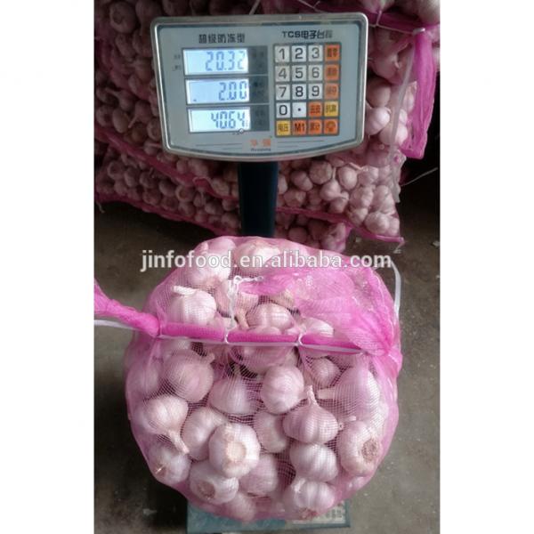 fresh 2017 year china new crop garlic garlic     #1 image