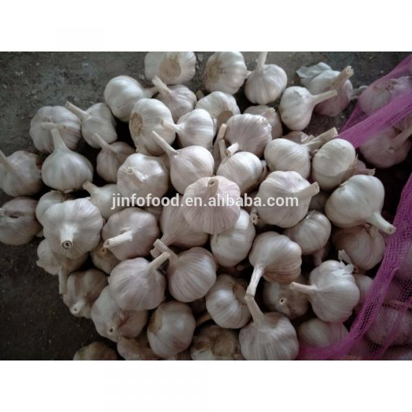 fresh 2017 year china new crop garlic garlic     #2 image