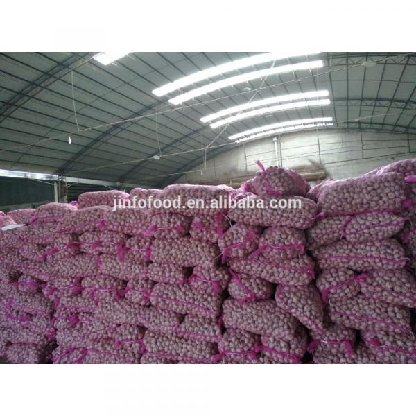 fresh 2017 year china new crop garlic garlic     #3 image