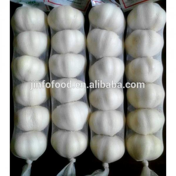 6pcs 2017 year china new crop garlic pure  white  garlic   #1 image