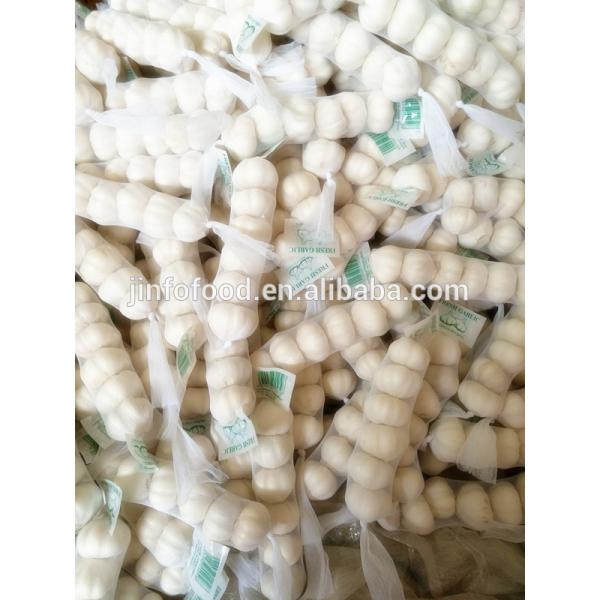 white 2017 year china new crop garlic Garlic     #3 image