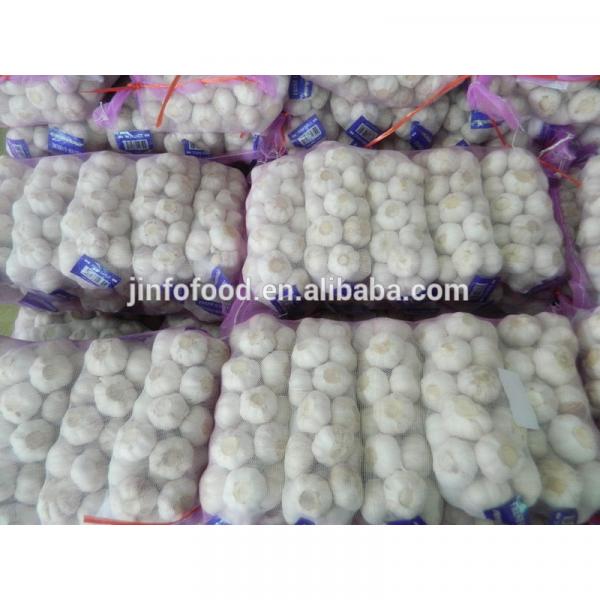 New 2017 year china new crop garlic garlic     #3 image