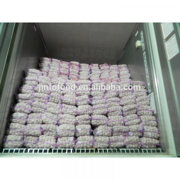 New 2017 year china new crop garlic garlic     #4 image