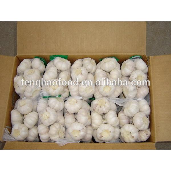 fresh 2017 year china new crop garlic garlic     #2 image