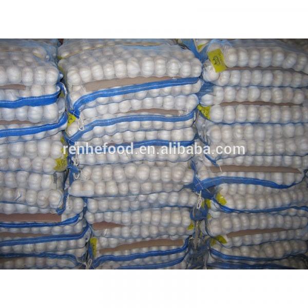 2017 New Corp Grade A Fresh White Chinese Garlic #1 image