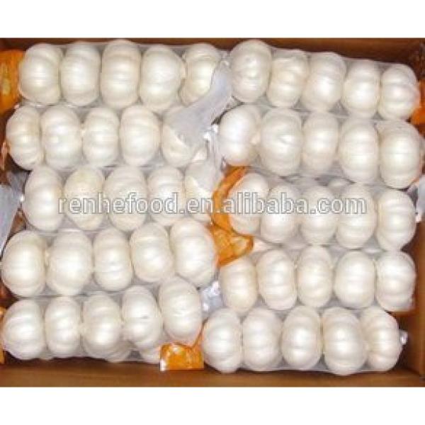 2017 New Corp Grade A Fresh White Chinese Garlic #4 image