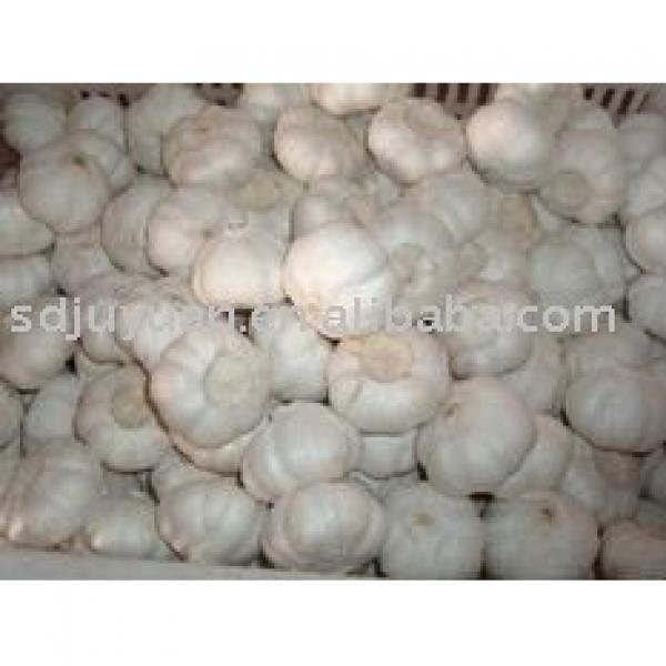 Fresh Pure White Garlic #1 image