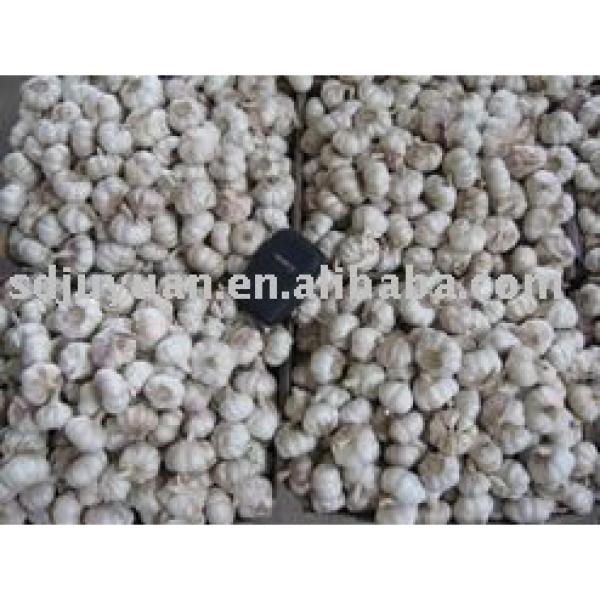 New Crop Fresh Normal White Garlic #1 image