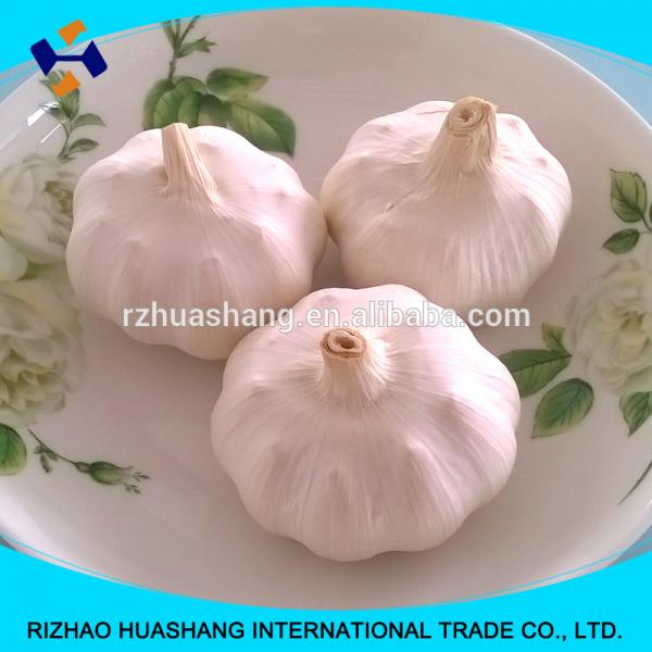 white garlic size 6.0cm #5 image