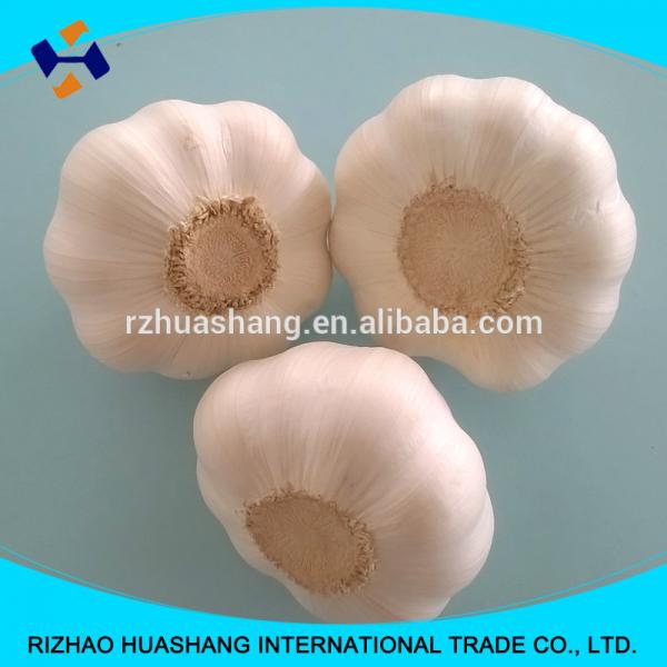 white garlic size5.0cm #3 image