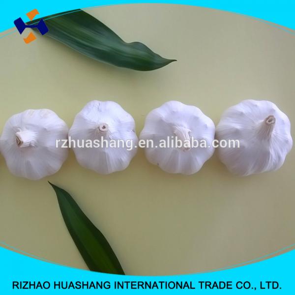 white garlic size 6.0cm #3 image