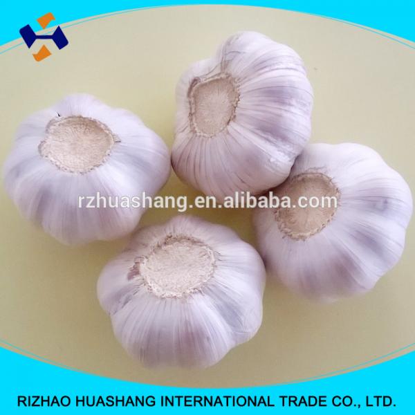 good quality normal white fresh garlic size4.0cm #6 image