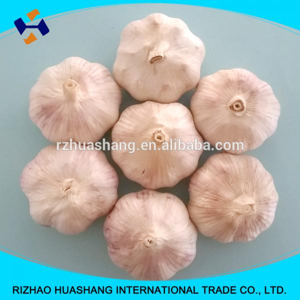 good quality normal white fresh garlic size5.0cm #5 image