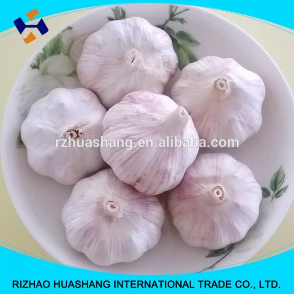 good quality normal white fresh garlic size6.0cm #2 image