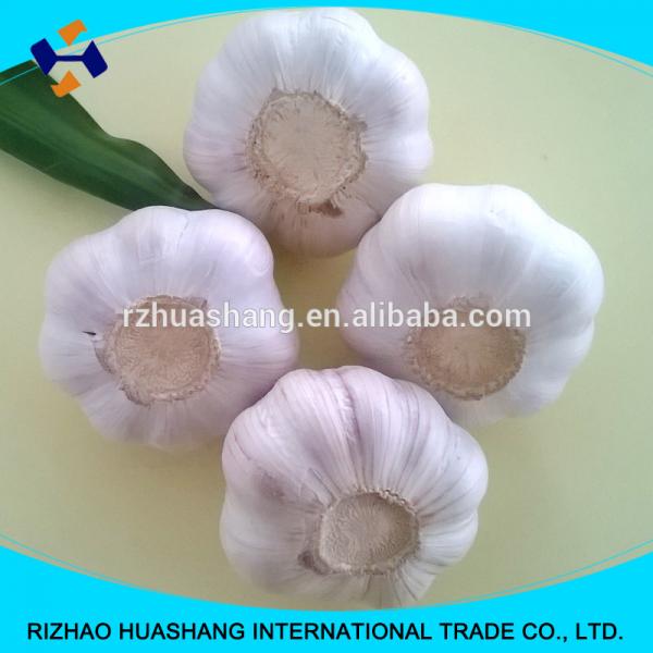 red fresh garlic size5.5cm #6 image