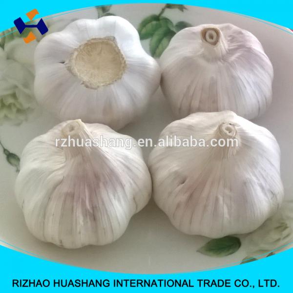 good quality normal white fresh garlic size4.5cm #1 image