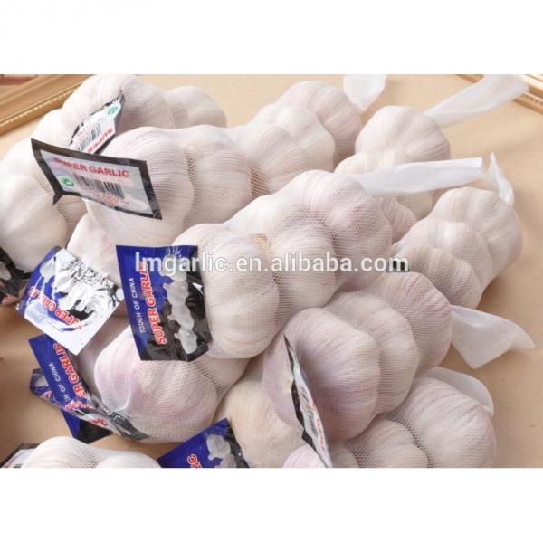 2017 Fresh Garlic / Alho from Jinxiang Liming J10 #1 image