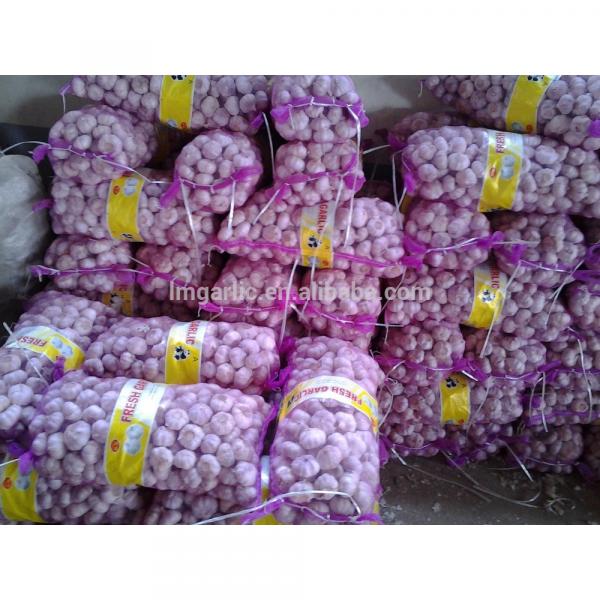 2017 Fresh Garlic / Alho from Jinxiang Liming Food J10 #1 image