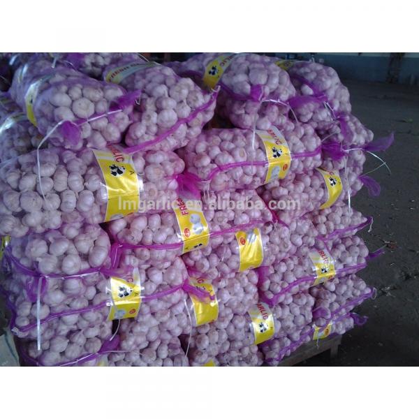 2017 Fresh Garlic / Alho from Jinxiang Liming Food J10 #2 image