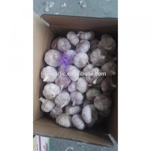 2017 Fresh Garlic / Alho from Jinxiang J10 #1 image