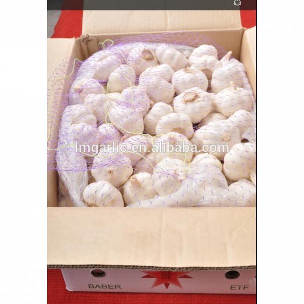 2017 Fresh Garlic / Alho from Jinxiang Liming Food J10 #2 image