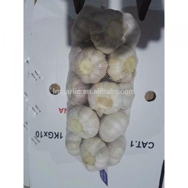 2017 Fresh Garlic / Alho from Jinxiang Liming J10 #3 image