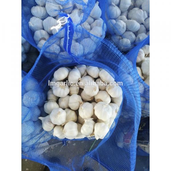 2017 Pure White Fresh Garlic / Alho from Jinxiang Liming F21 #1 image