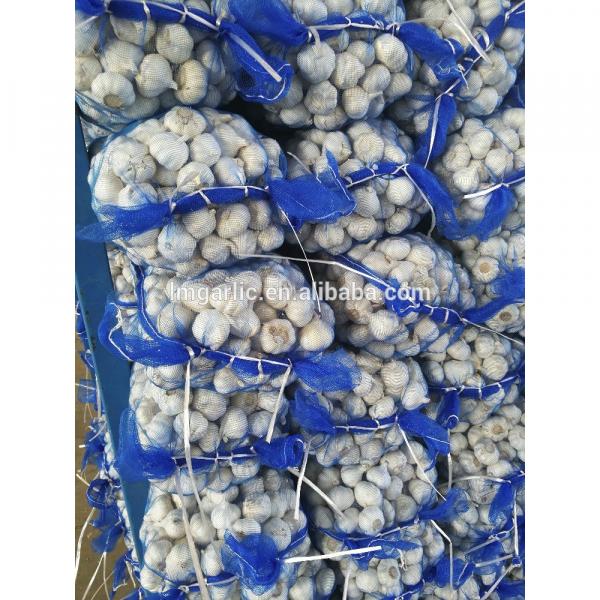 2017 Pure White Fresh Garlic / Alho from Jinxiang Liming F21 #2 image