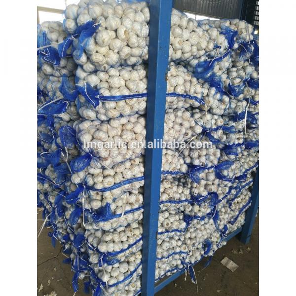 2017 Pure White Fresh Garlic / Alho from Jinxiang Liming F21 #3 image