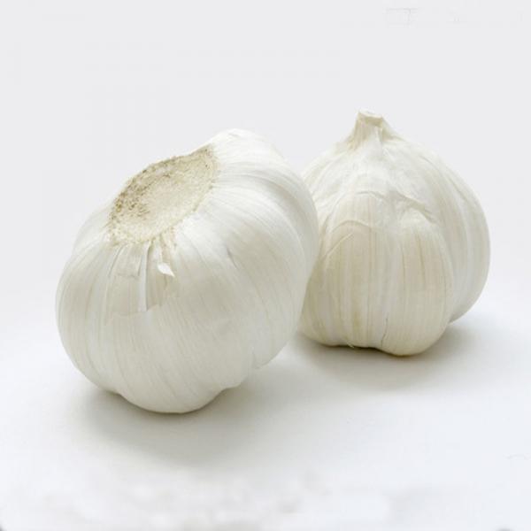 New crop fresh natural pure white garlic #1 image