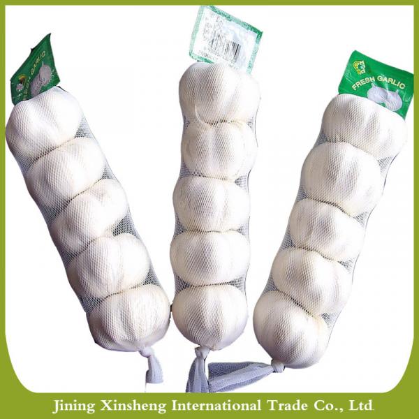 Fresh new crop white garlic #2 image