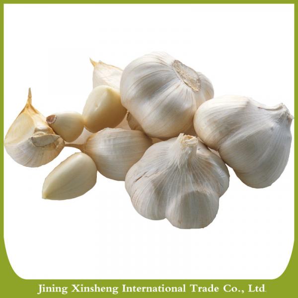 Fresh pure and white garlic #1 image