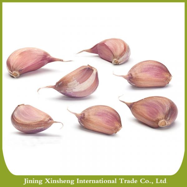 China best quantity fresh red garlic #3 image