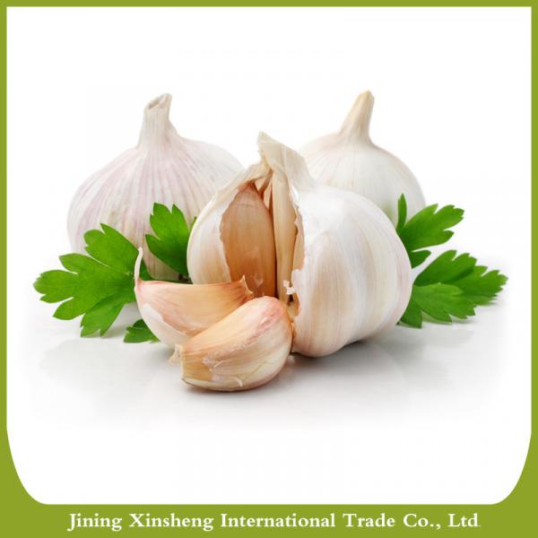 China best quantity fresh red garlic #1 image